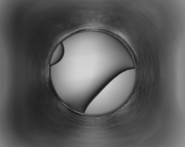 X0000088631366200705250849