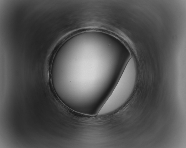 X0000088631368200705250849
