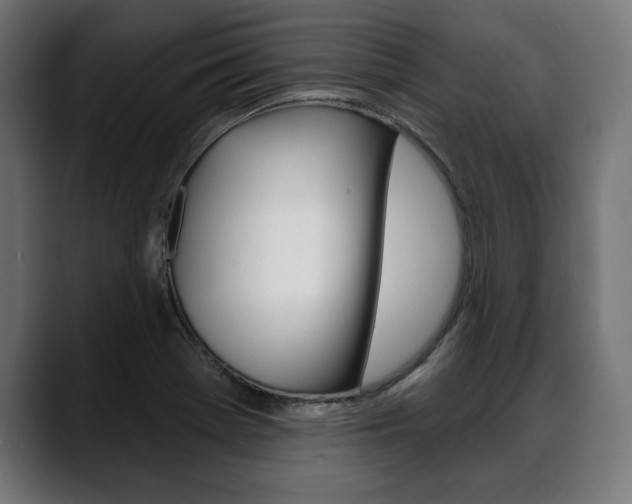 X0000088631369200705250849
