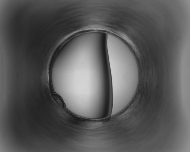 X0000088631372200705250849