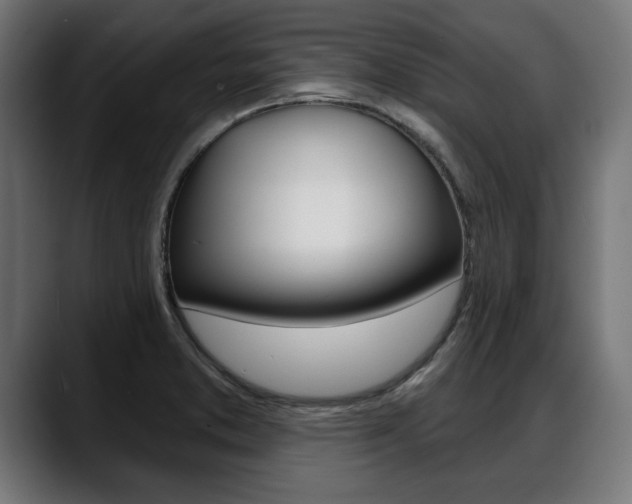 X0000088631373200705250849