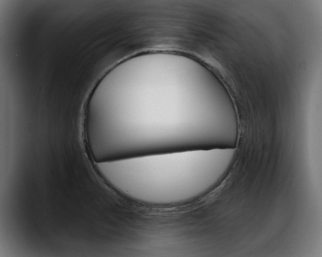 X0000088631374200705250849