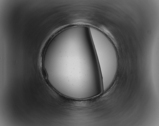 X0000088631376200705250849