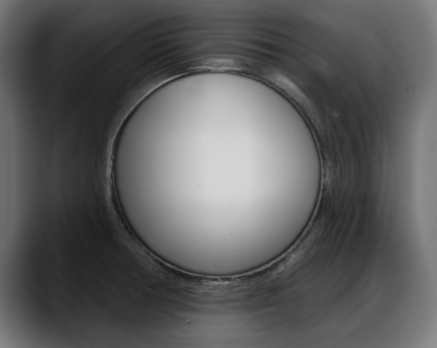 X0000088631378200705250849