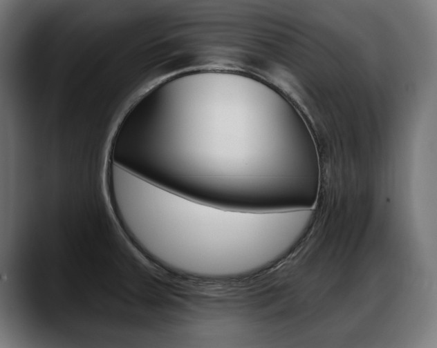 X0000088631379200705250849