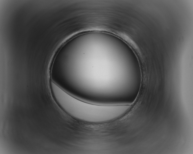 X0000088631380200705250849