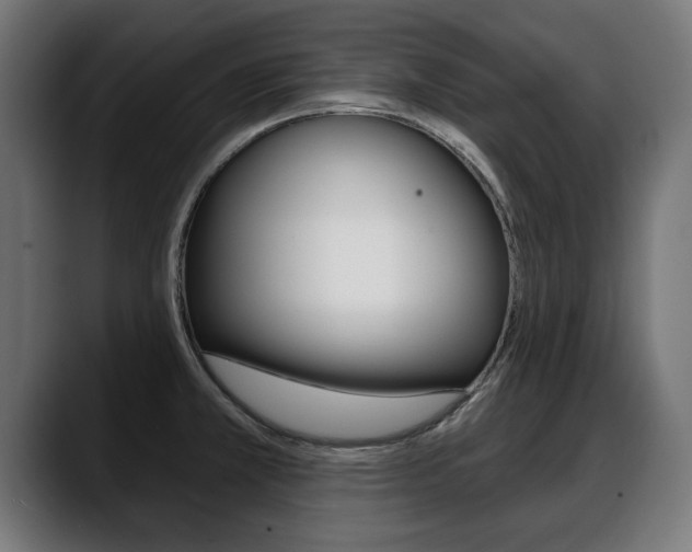 X0000088631381200705250849