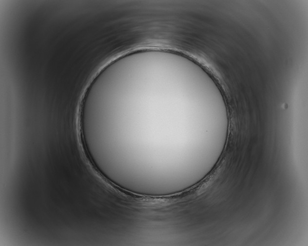 X0000088631382200705250849