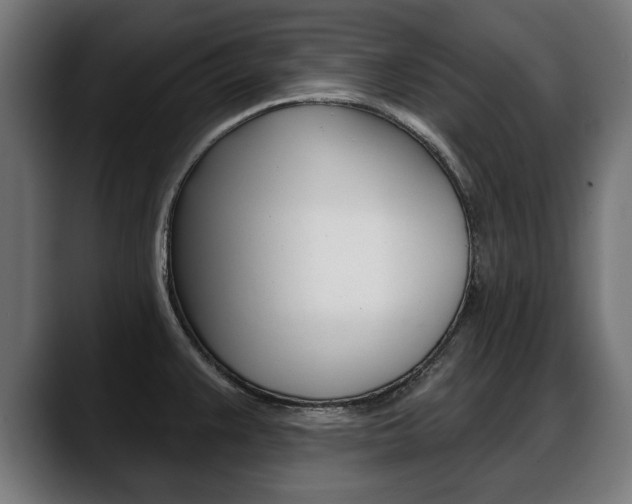 X0000088631383200705250849