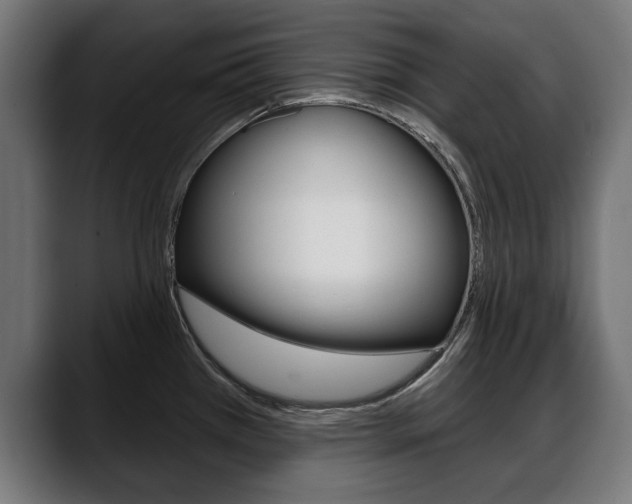 X0000088631385200705250849
