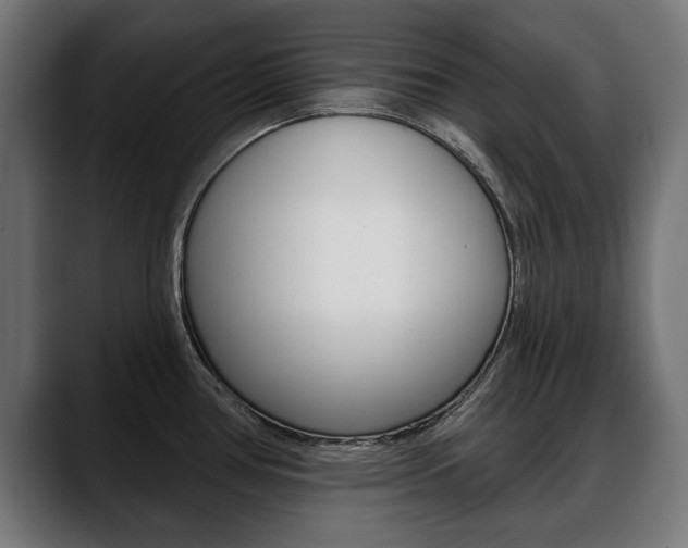 X0000088631386200705250849
