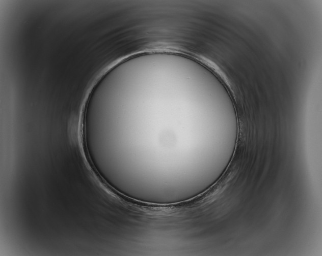X0000088631387200705250849