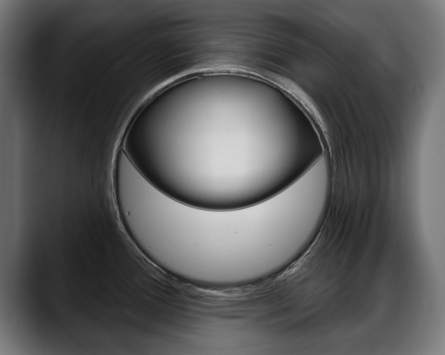 X0000088631388200705250849