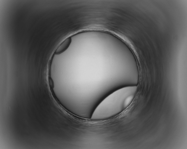X0000088631390200705250849