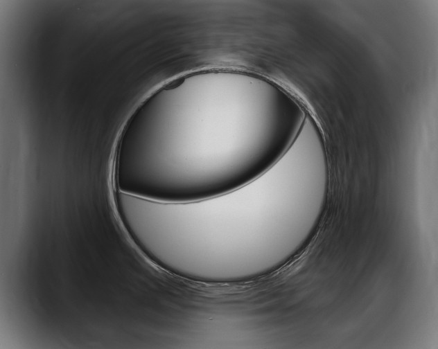 X0000088631391200705250849