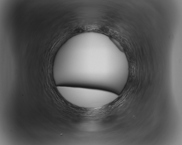 X0000088631393200705250848