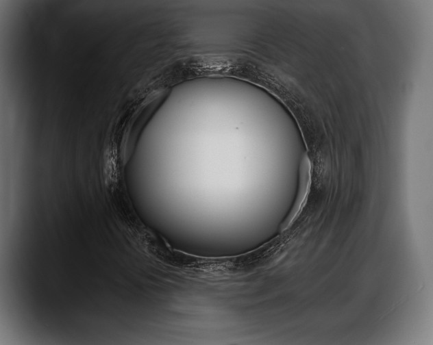 X0000088631394200705250848