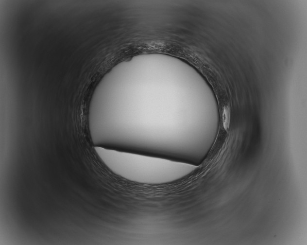 X0000088631395200705250848