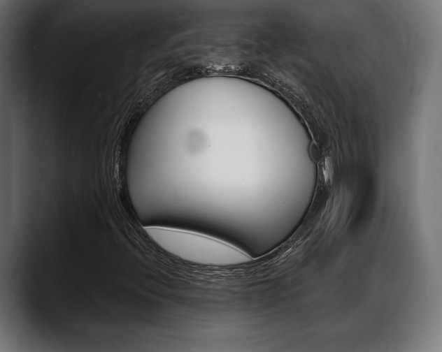 X0000088631396200705250848