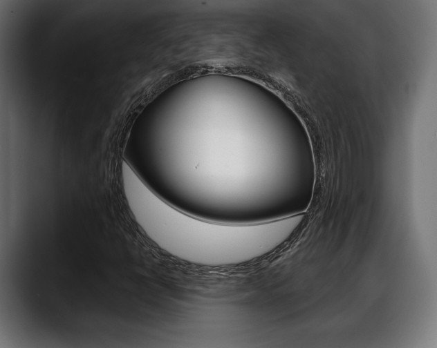 X0000088631398200705250848