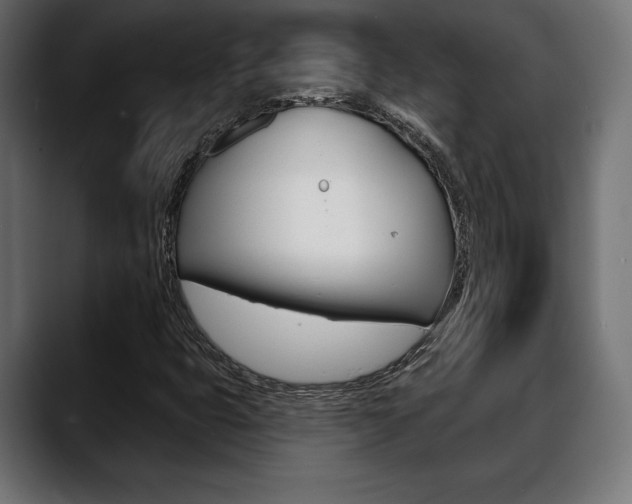 X0000088631399200705250848