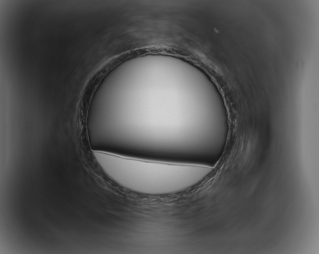 X0000088631400200705250849