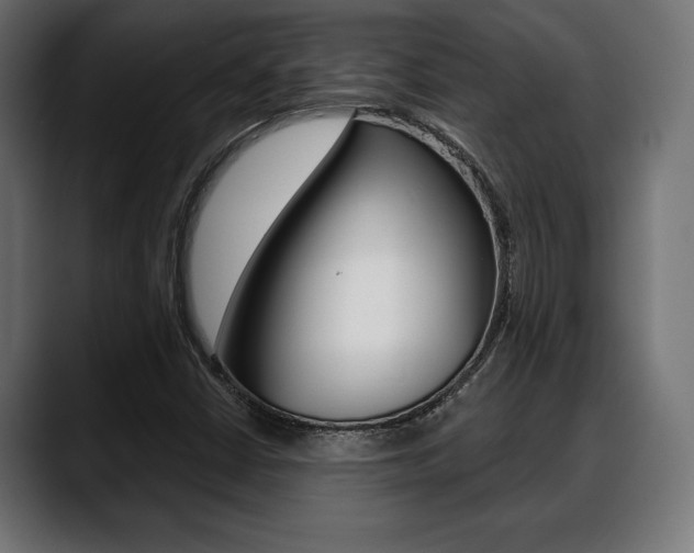 X0000088631402200705250849