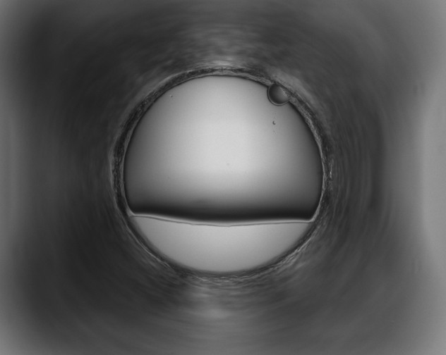 X0000088631404200705250849