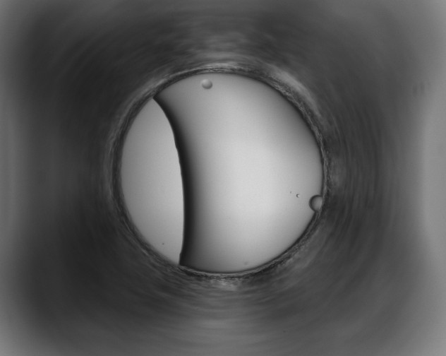 X0000088631411200705250849
