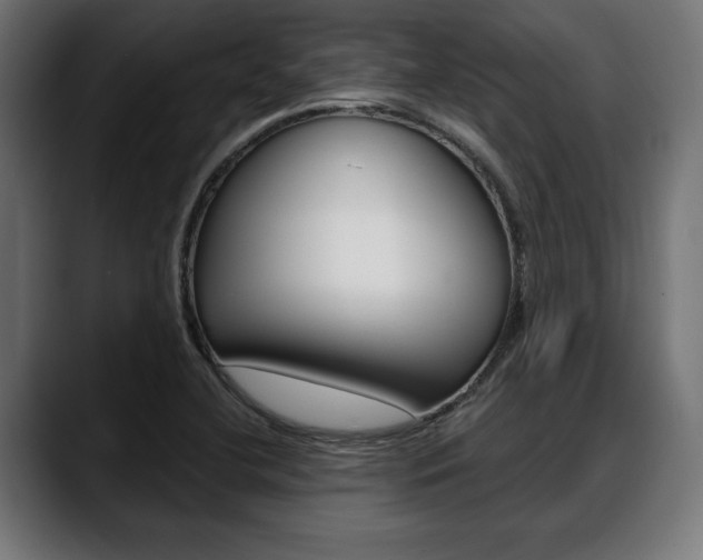 X0000088631412200705250849