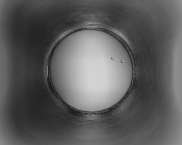 X0000088631413200705250849