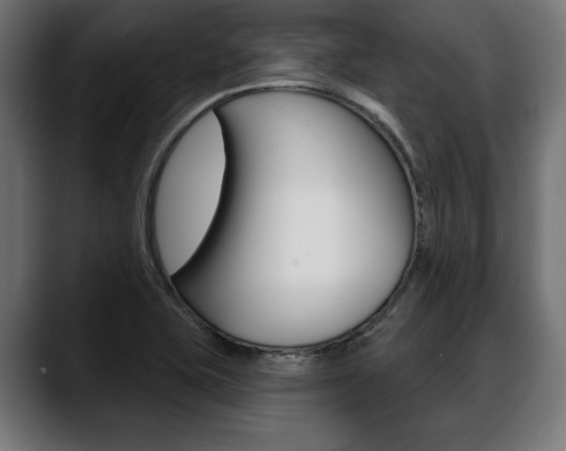 X0000088631415200705250849