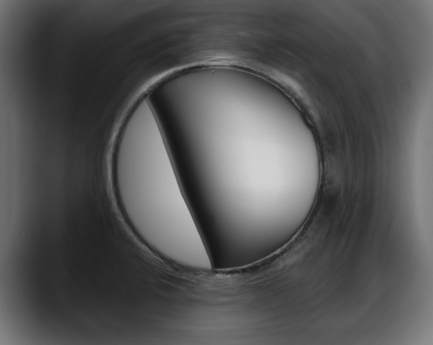 X0000088631424200705250849
