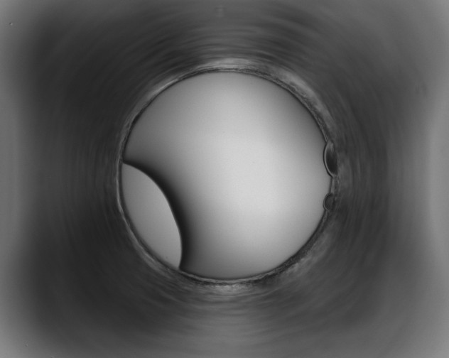 X0000088631425200705250849