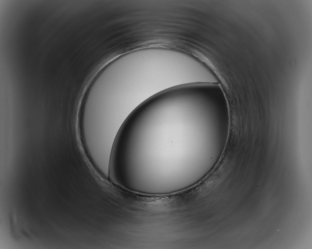 X0000088631426200705250849