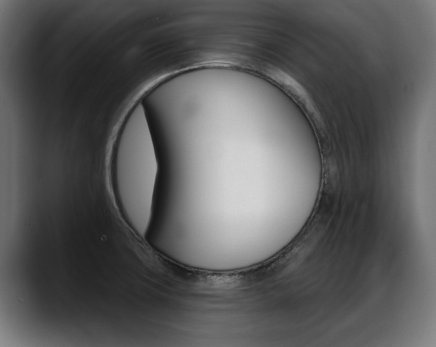 X0000088631427200705250849