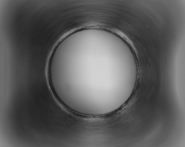 X0000088631429200705250849