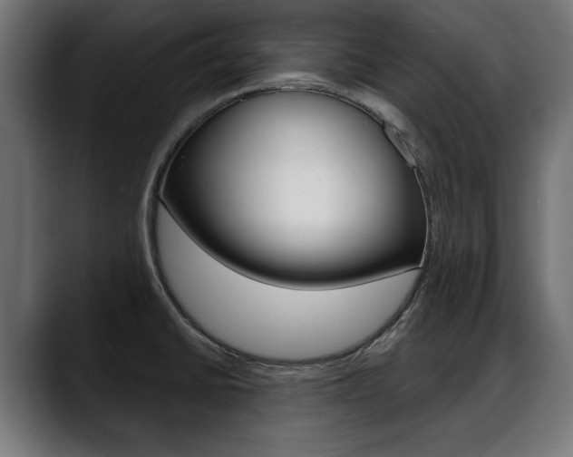 X0000088631430200705250849