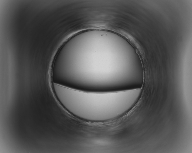 X0000088631432200705250849