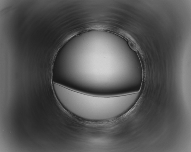 X0000088631433200705250849