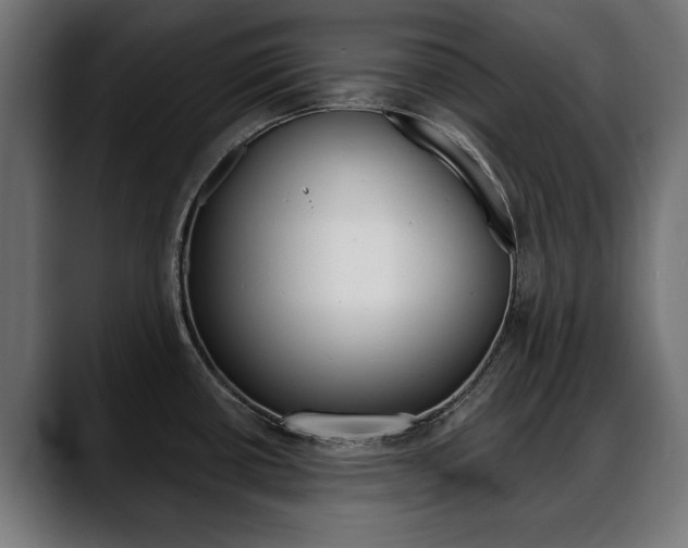 X0000088631434200705250849