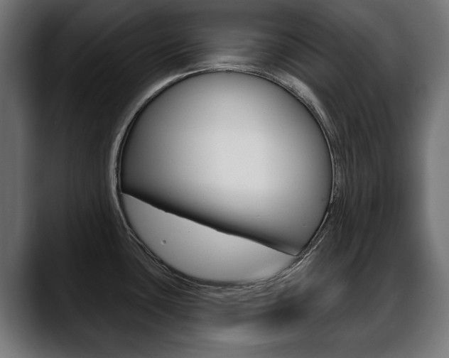 X0000088631435200705250849