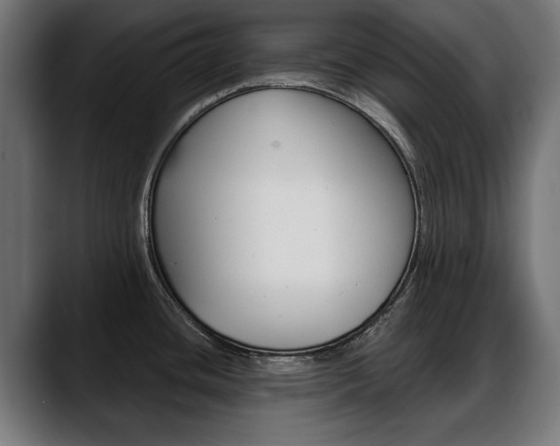 X0000088631436200705250849