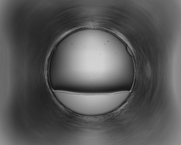 X0000088631437200705250849