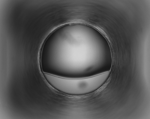 X0000088631438200705250849