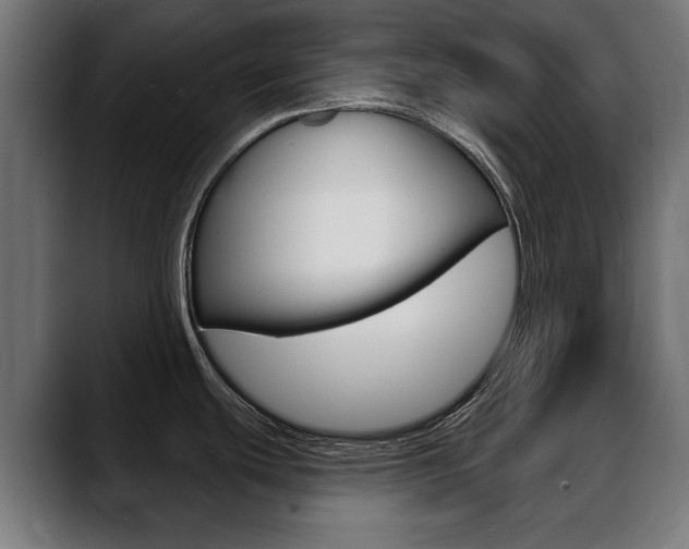 X0000088631439200705250849