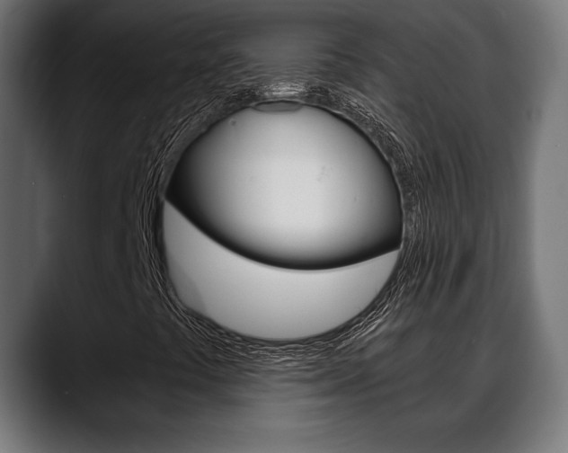 X0000088631441200705250848