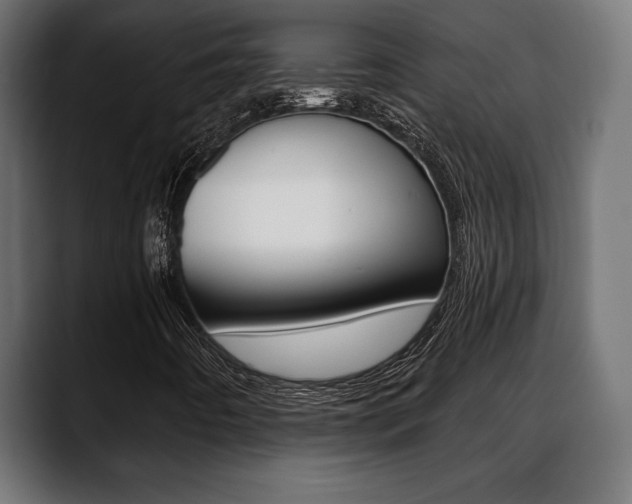 X0000088631442200705250848