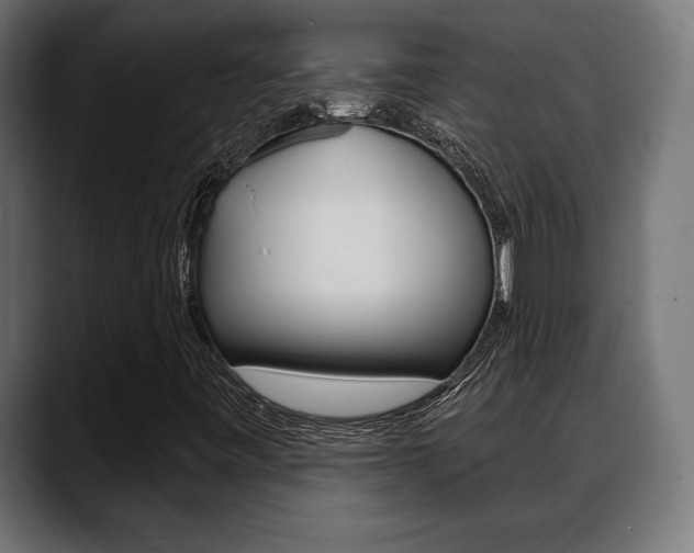 X0000088631443200705250848