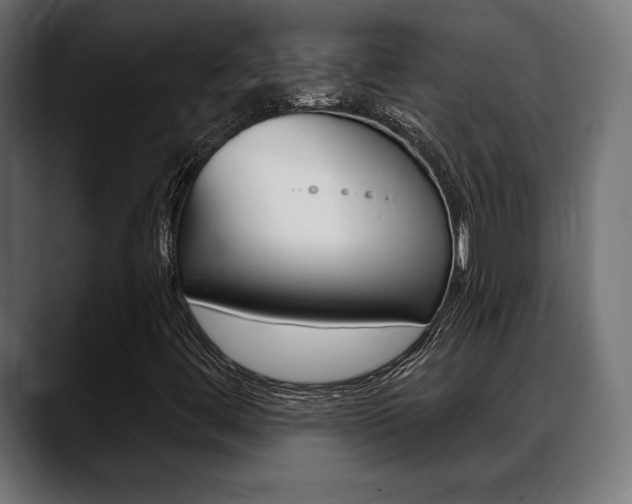 X0000088631444200705250848